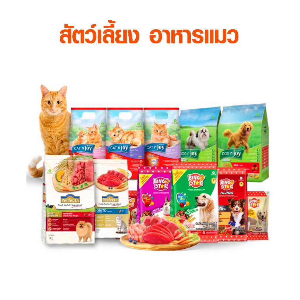 อาหารแมวหลากหลายสูตรและรสชาติจากหลายแบรนด์ มีทั้งแบบเม็ดและแบบเปียก สำหรับแมวทุกช่วงวัย